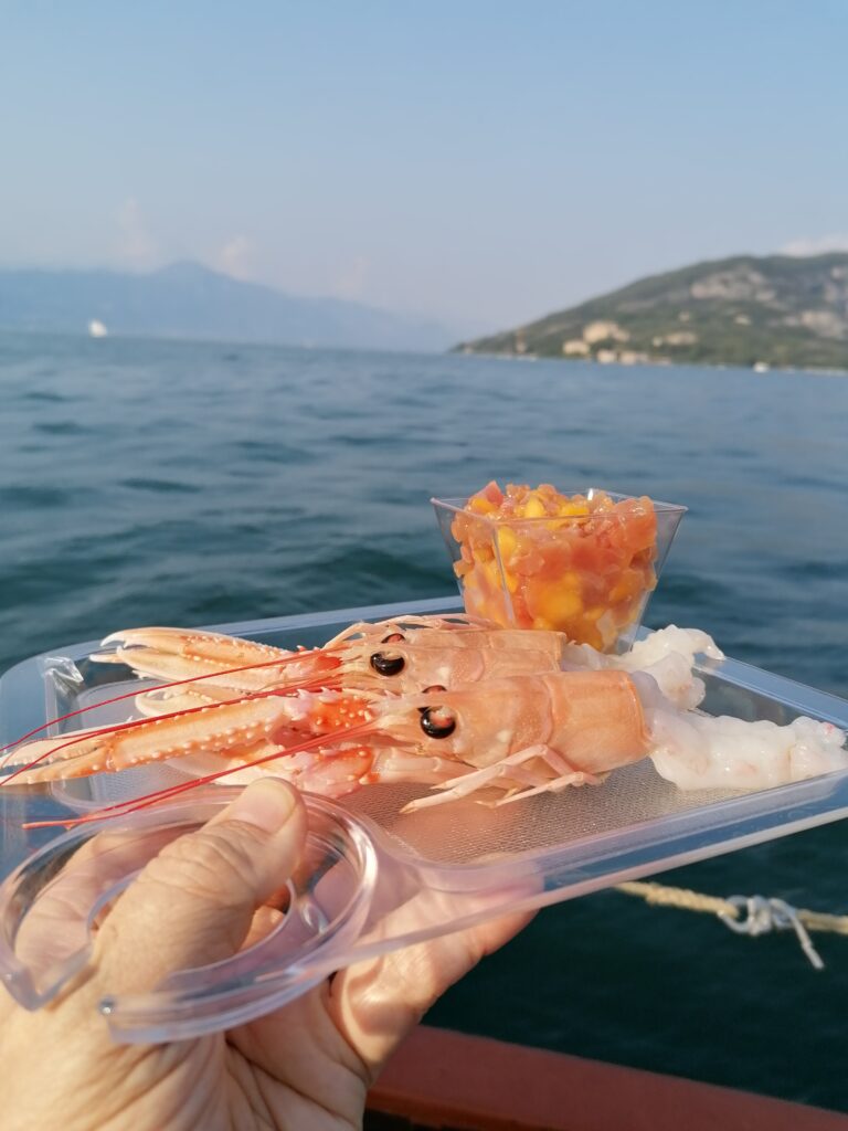 Pescheria Tognotti Rovereto